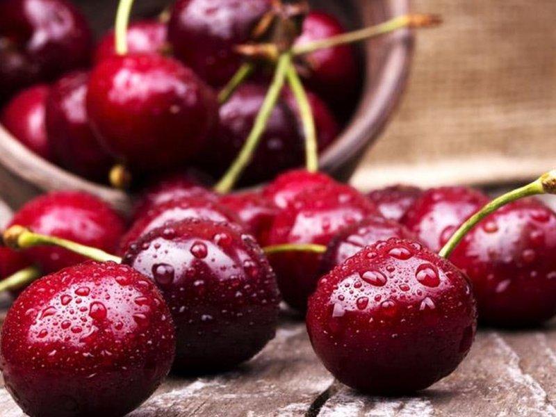 Вишня купить саженцы из питомника в Твери
